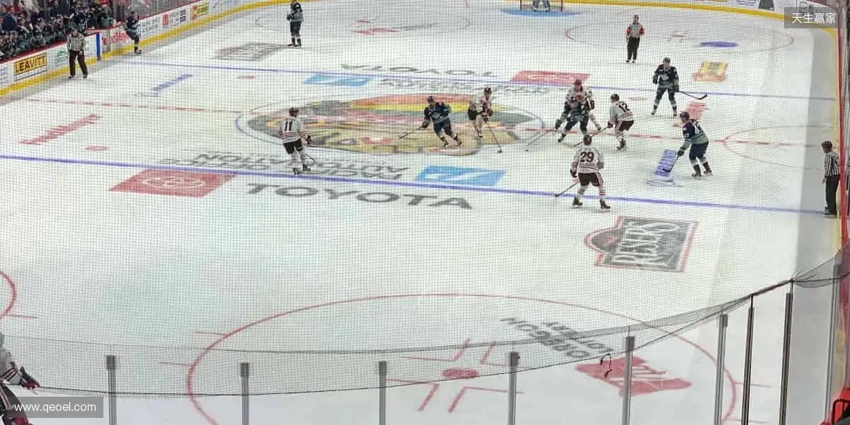 高清直播直击现场，互动狂欢点燃激情🏀